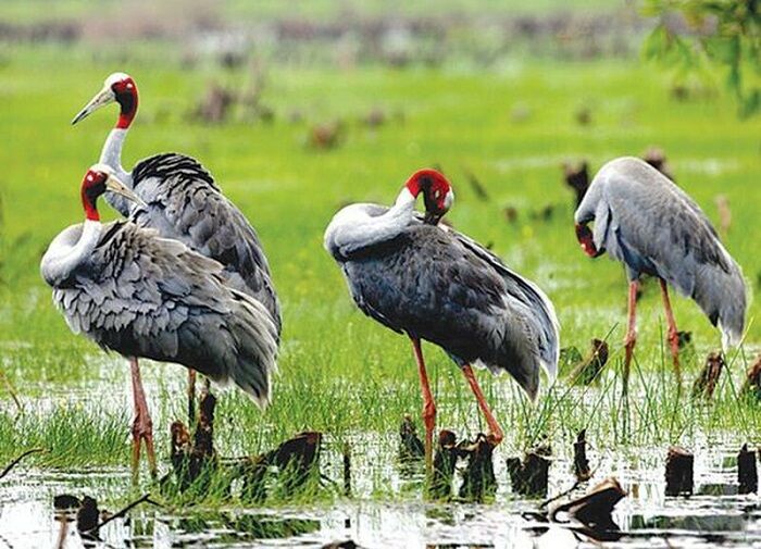 Begin your Ca Mau Tours with a scenic adventure